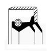 VOLVO 3953745 Shaft Seal, differential